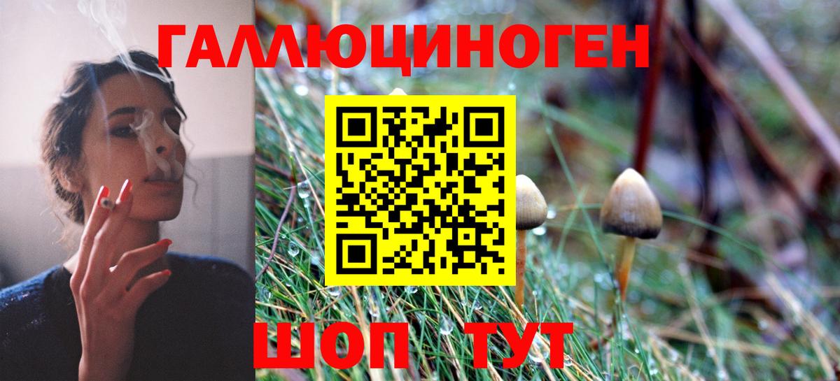 Кызыл  Псилоцибиновые грибы мицелий  Галлюциногенные грибы мухоморы  Вход с VPN 